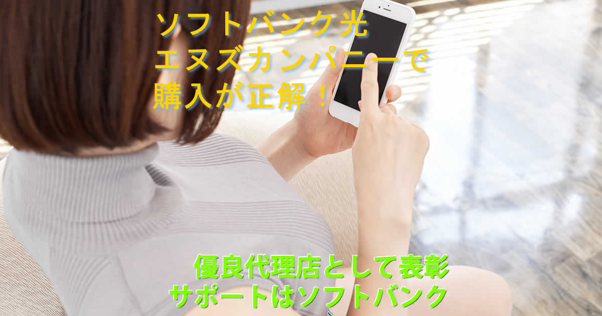 エヌズカンパニーソフトバンク光